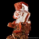 Wulfenite - image 6