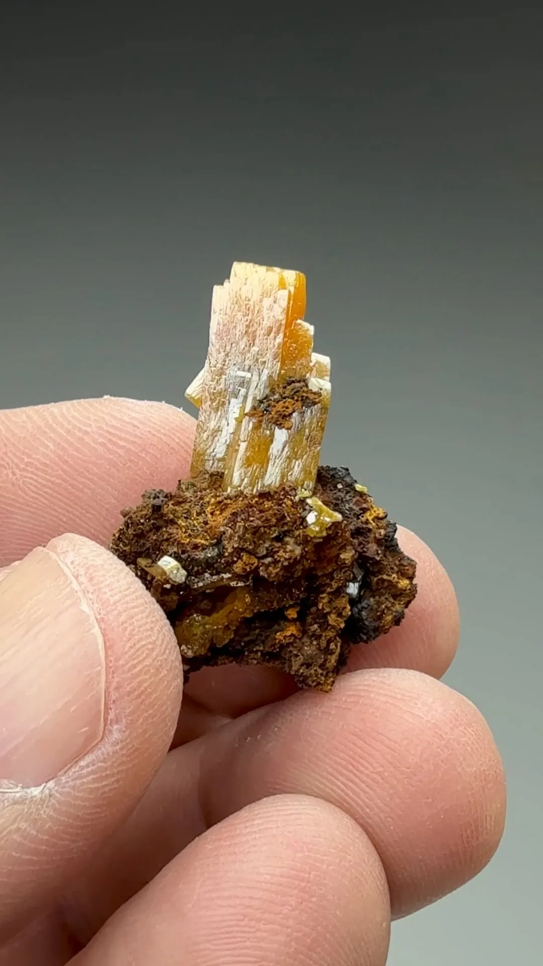 Wulfenite - image 2