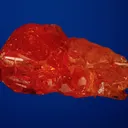 Wulfenite - image 3