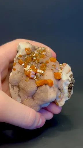 specimen video