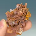 Wulfenite - image 1