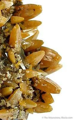 Wulfenite - image 3