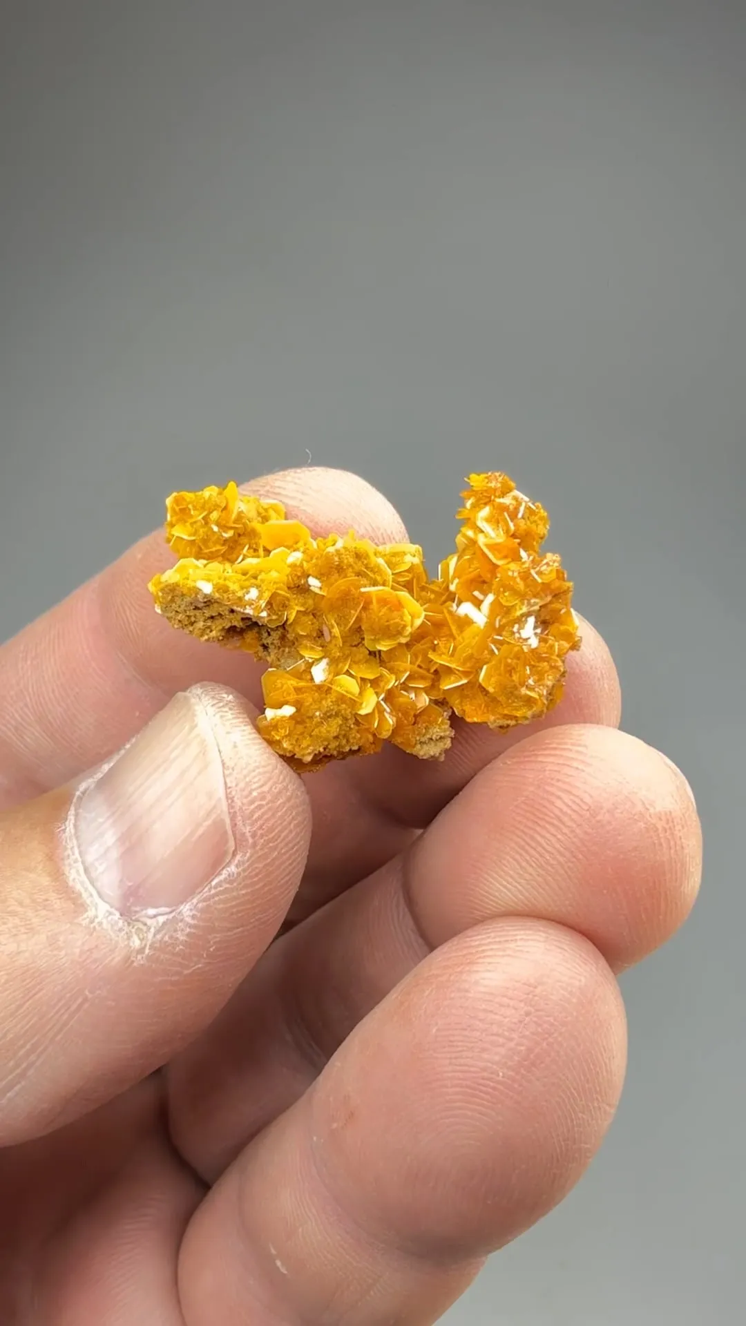 Wulfenite - image 2