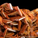 Wulfenite - image 3