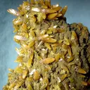 Wulfenite - image 2