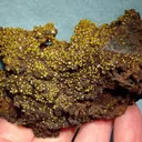 Wulfenite - image 1