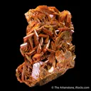 Wulfenite - image 6