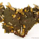Wulfenite - image 1