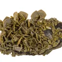 Wulfenite - image 1