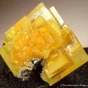 Wulfenite - image 3