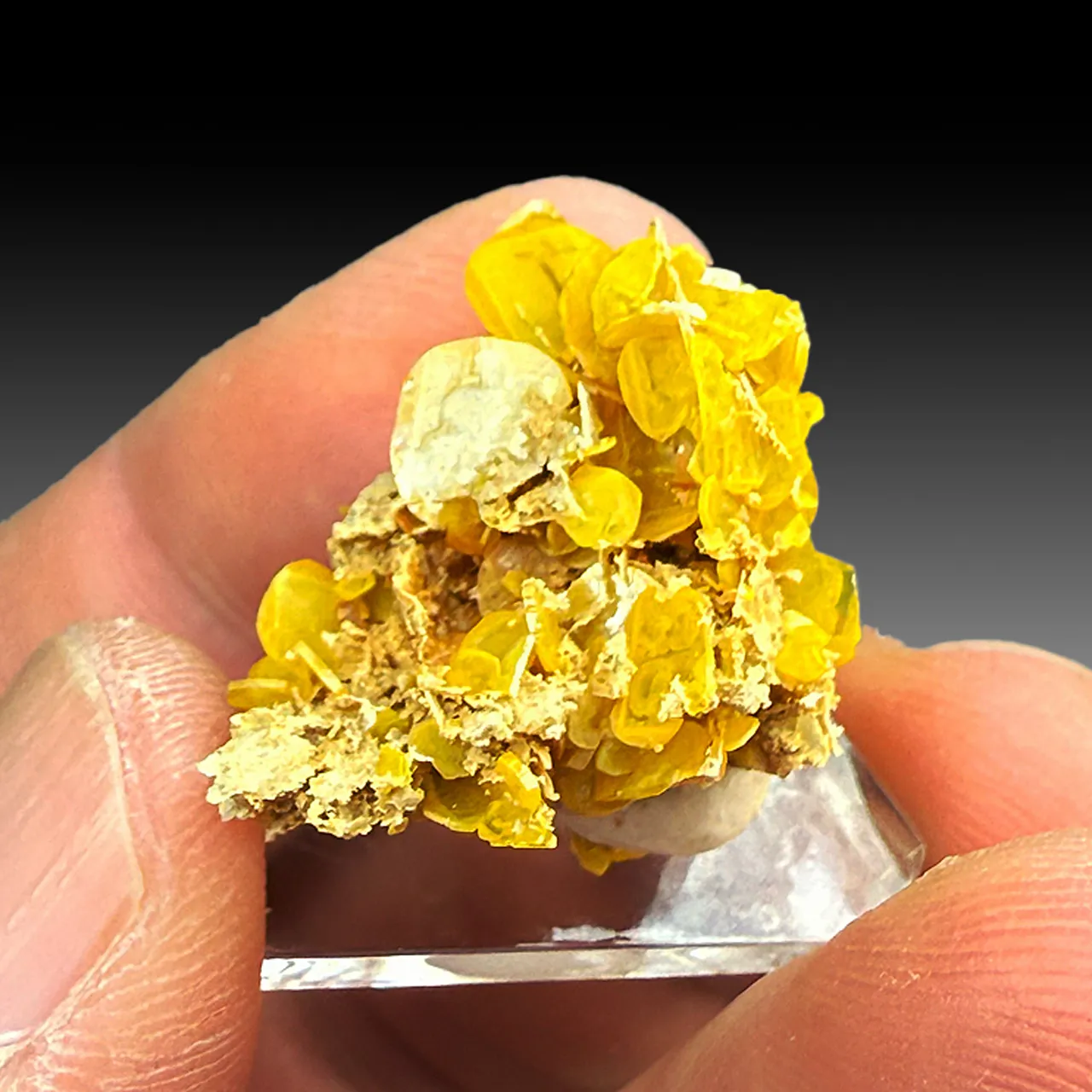 Wulfenite - image 1