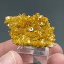 Wulfenite - image 2