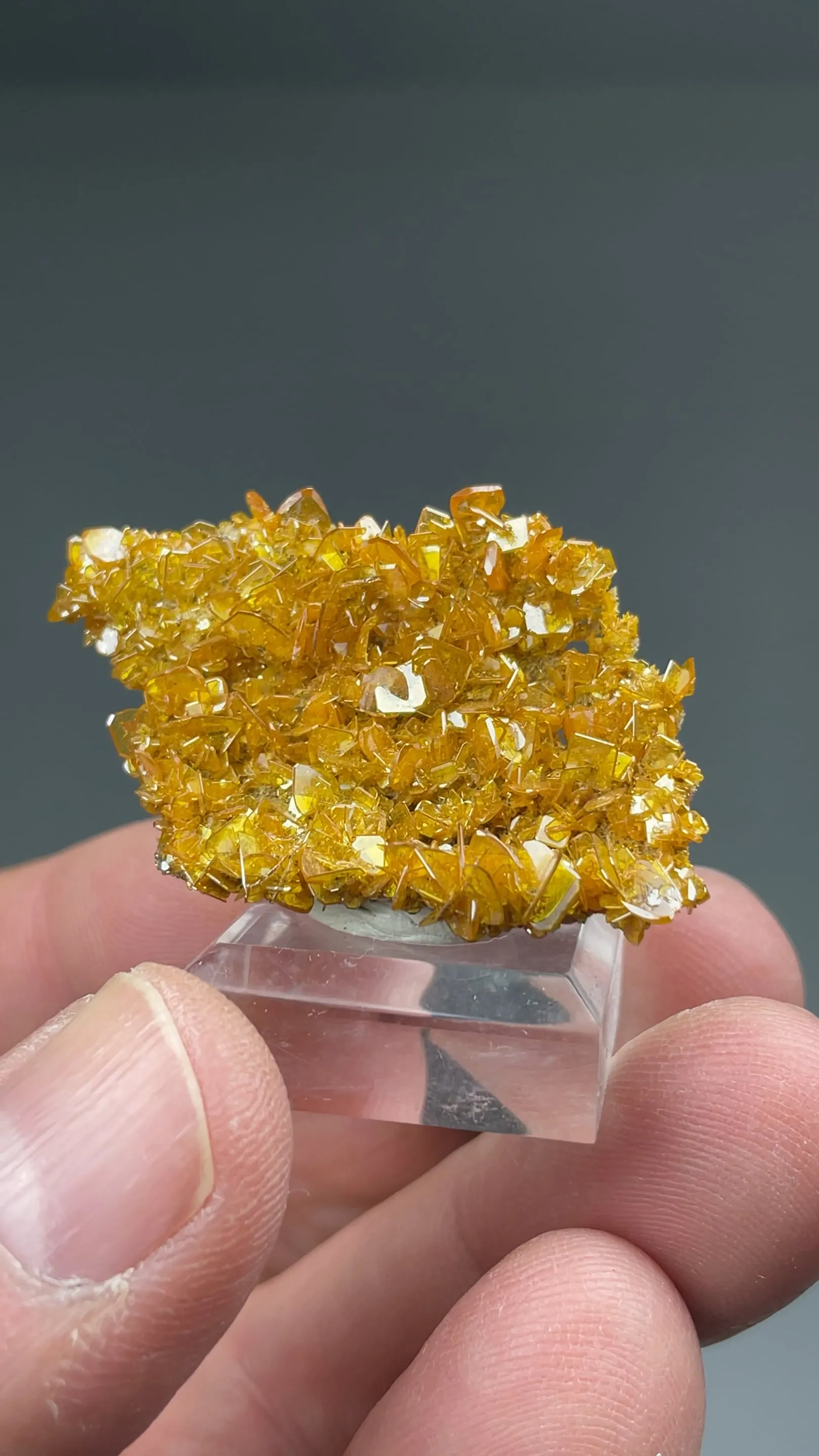 Wulfenite - image 2