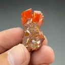 Wulfenite (673) - image 2