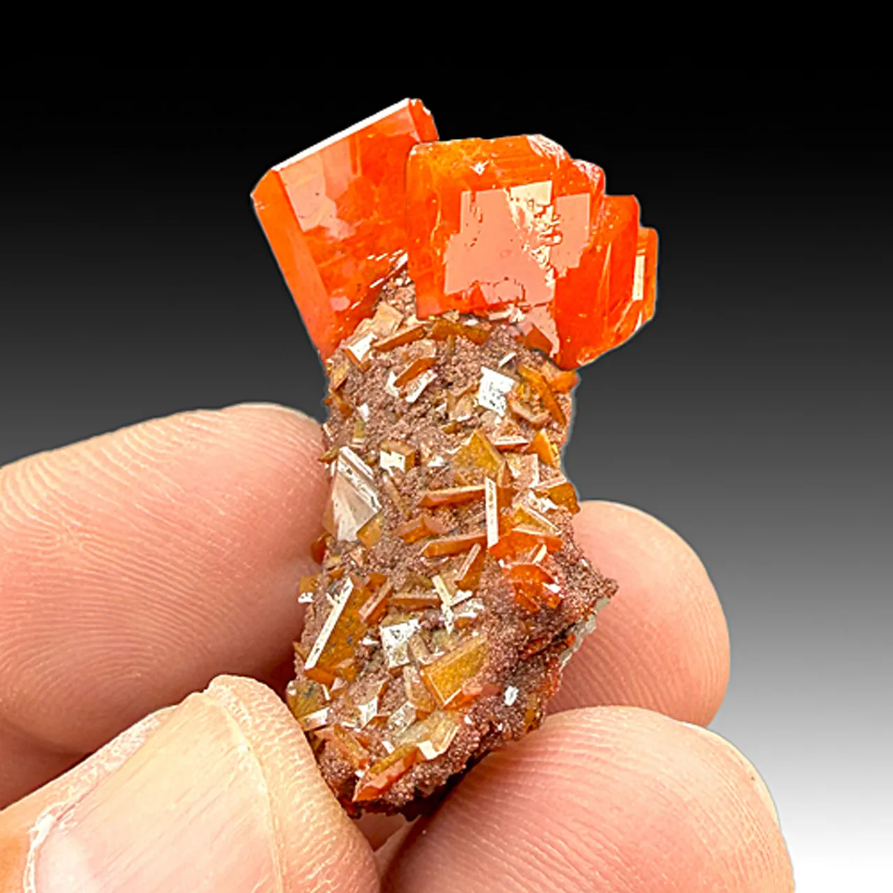 Wulfenite (673) - image 1