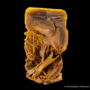 Wulfenite - image 4