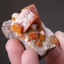 Wulfenite - image 2