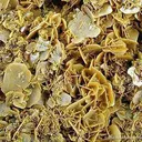 Wulfenite - image 2