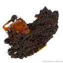 Wulfenite - image 5