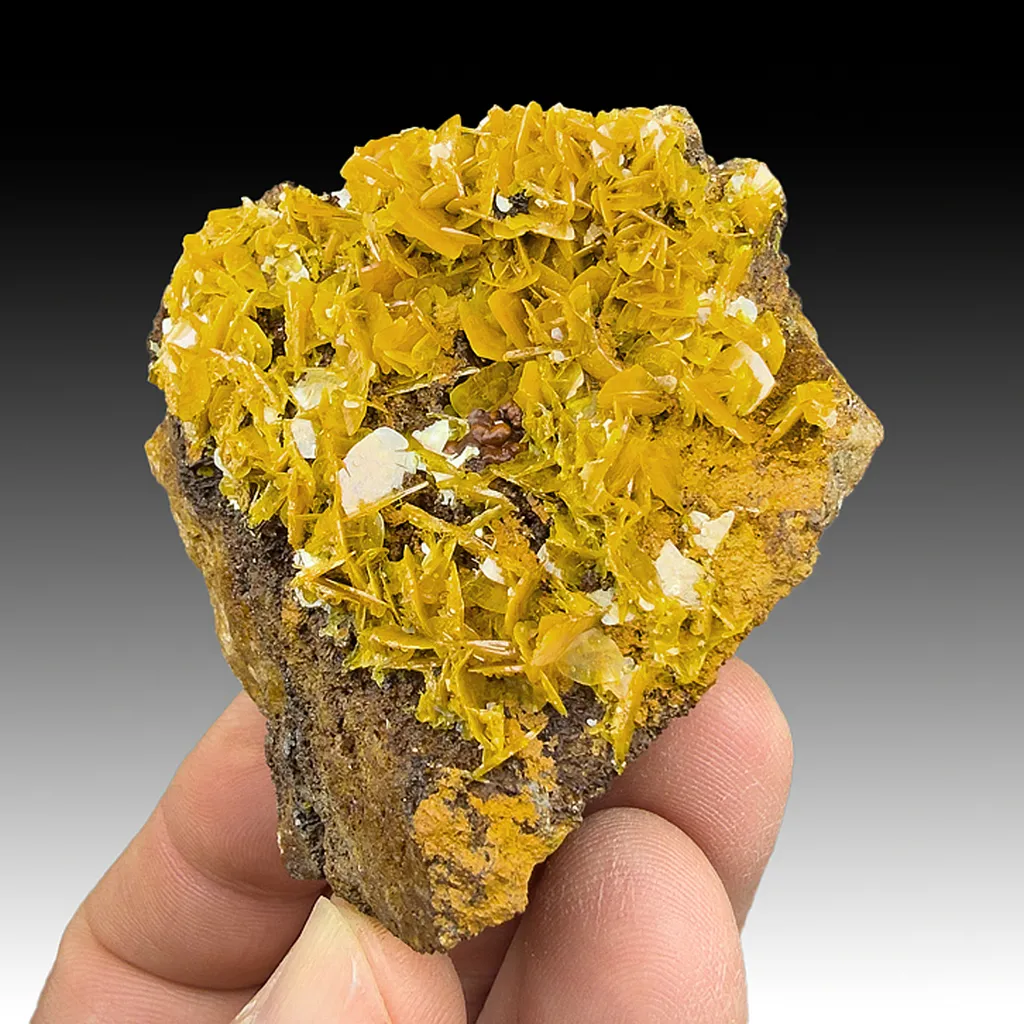 Wulfenite image