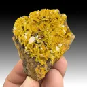 Wulfenite - image 1