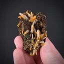 Wulfenite - image 1
