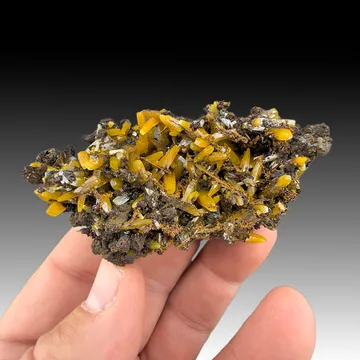 Wulfenite