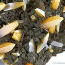 Wulfenite - image 3