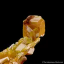 Wulfenite - image 6