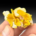 Wulfenite - image 1