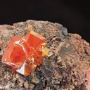 specimen video