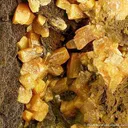 Wulfenite - image 4