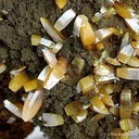 Wulfenite - image 3