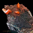 Wulfenite - image 3