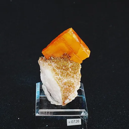 specimen video