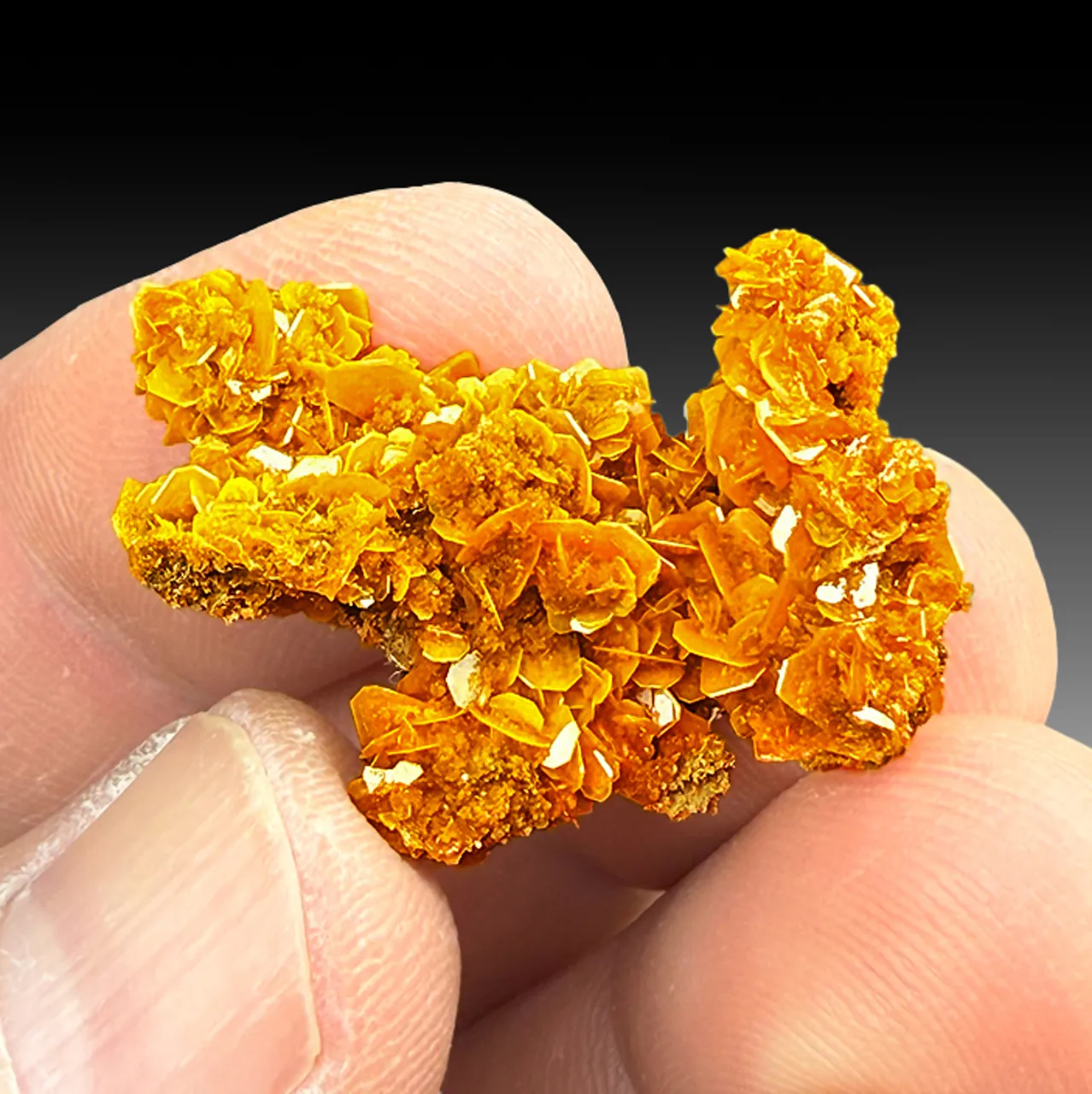 Wulfenite - image 1
