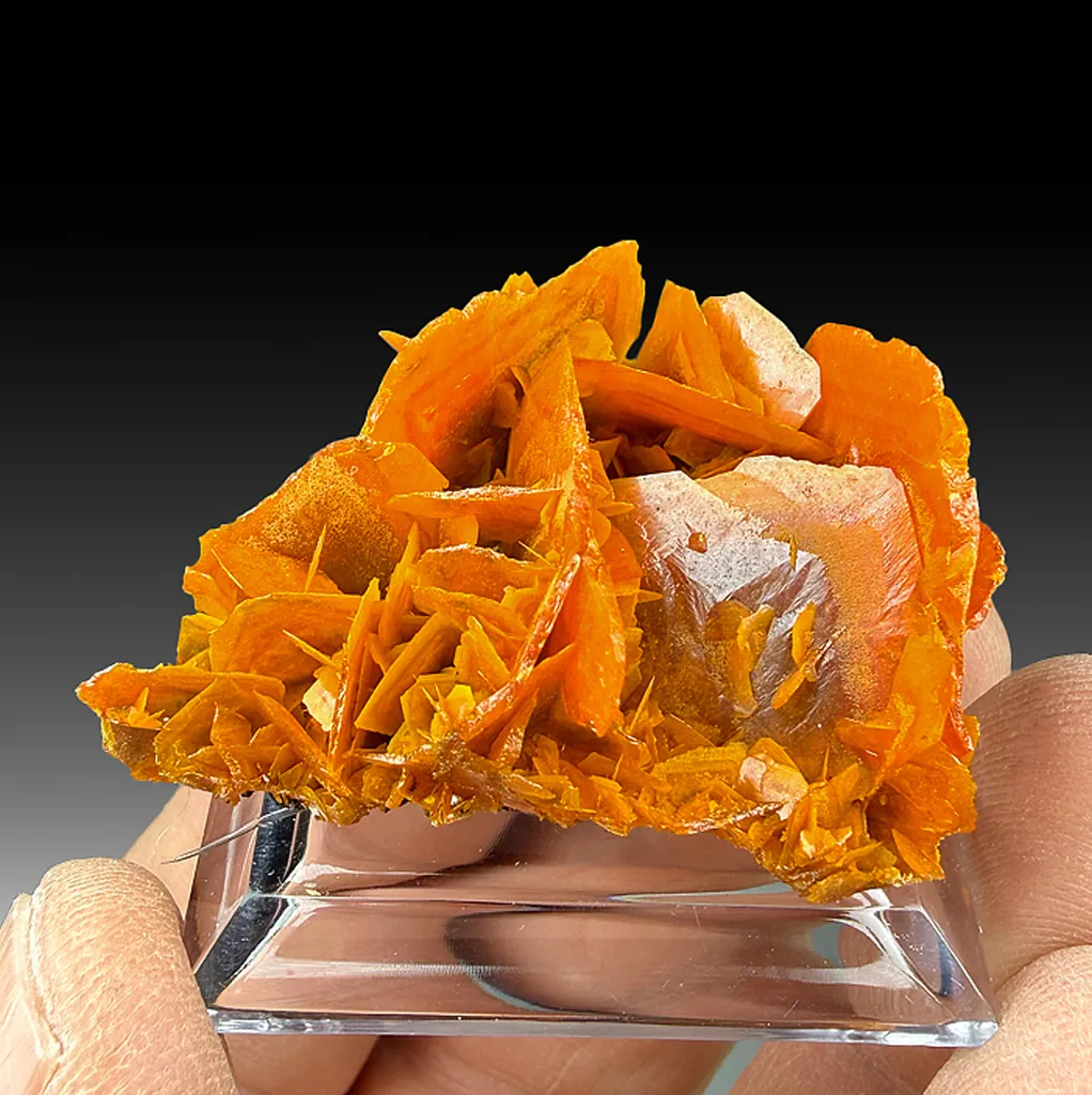 Wulfenite image