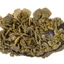 Wulfenite - image 2