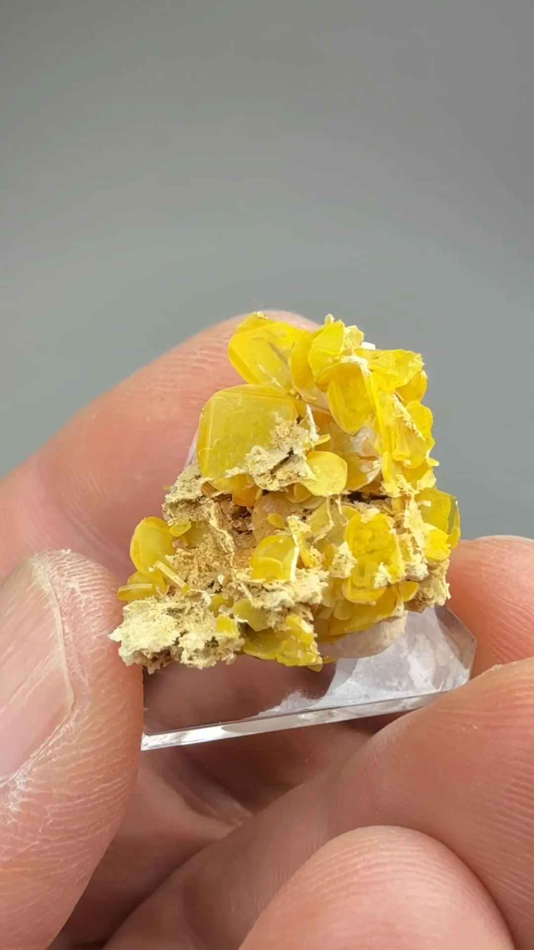 Wulfenite - image 2