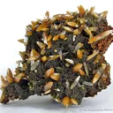 Wulfenite - image 1