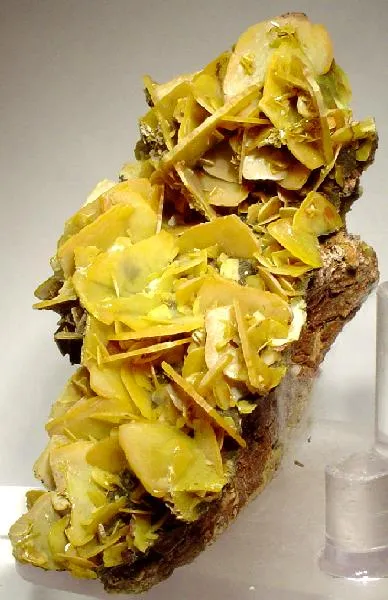 Wulfenite image