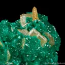 Wulfenite and Dioptase on Calcite - image 1