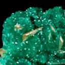 Wulfenite and Dioptase on Calcite - image 3