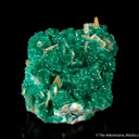 Wulfenite and Dioptase on Calcite - image 2