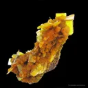 Wulfenite and Mimetite - image 3