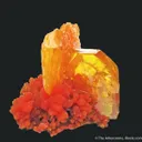 Wulfenite and Mimetite (1973 pocket) - image 2