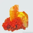 Wulfenite and Mimetite (1973 pocket) - image 1