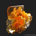 Wulfenite and Mimetite (1973 pocket) - image 5