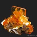 Wulfenite and Mimetite (1973 pocket) - image 3