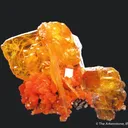 Wulfenite and Mimetite (1973 pocket) - image 5
